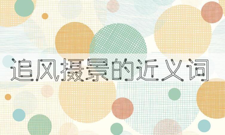 用追风摄景造句