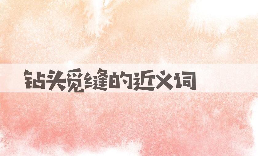 用钻头觅缝造句