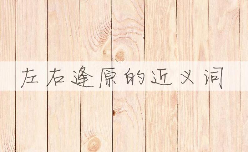 用左右逢原造句