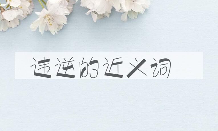 用违逆造句