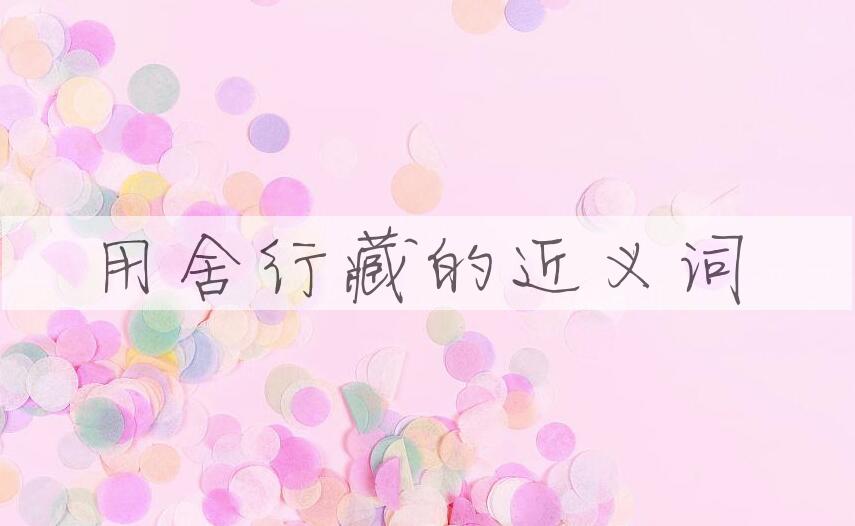 用用舍行藏造句