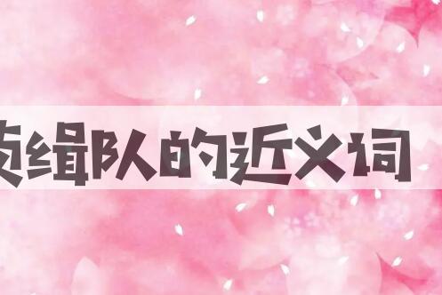 用侦缉队造句