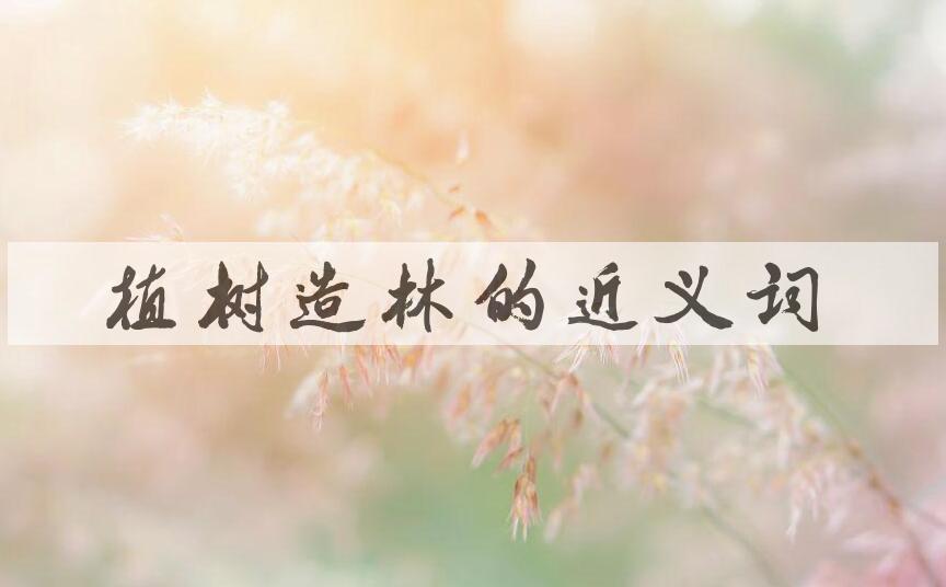 用植树造林造句