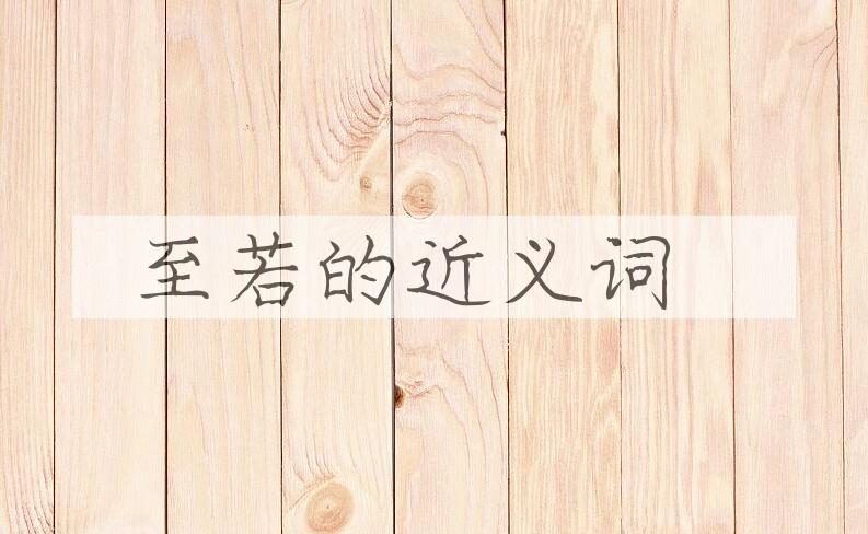 用至若造句