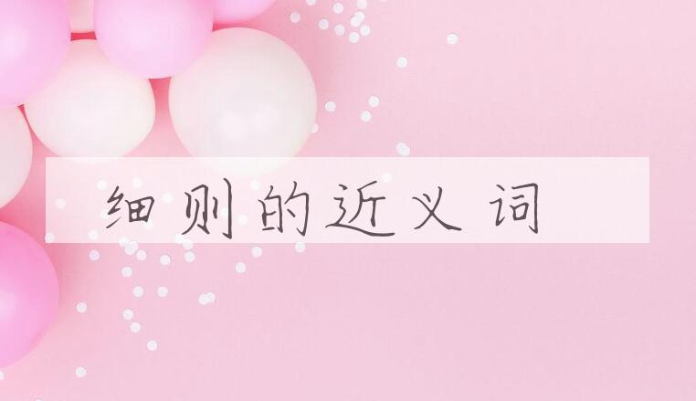 用细则造句