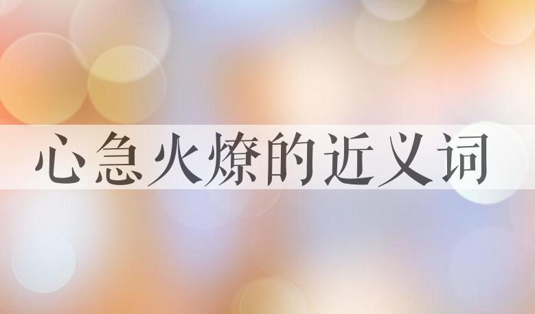 用心急火燎造句