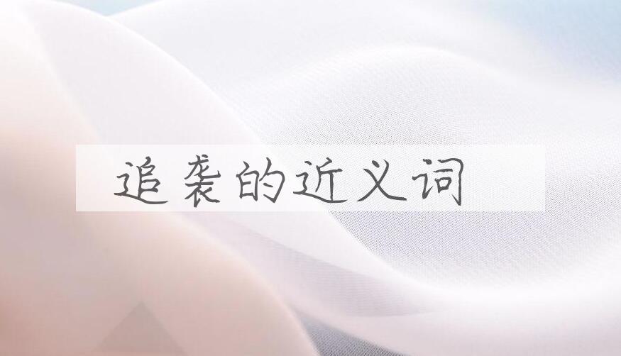 用追袭造句