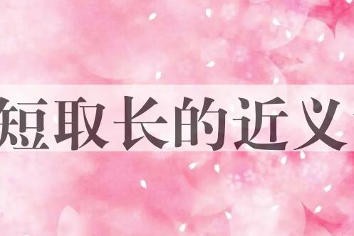 用舍短取长造句