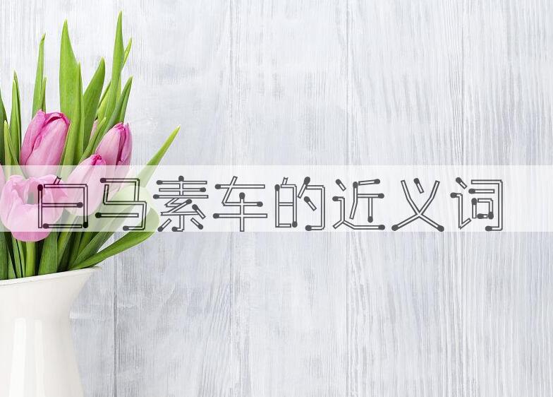 用白马素车造句