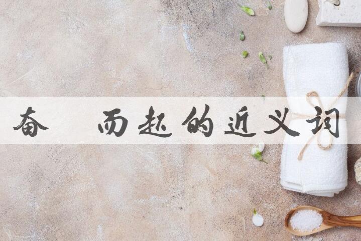 用奋袂而起造句