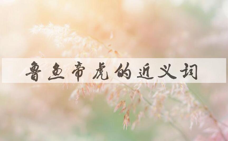 用鲁鱼帝虎造句