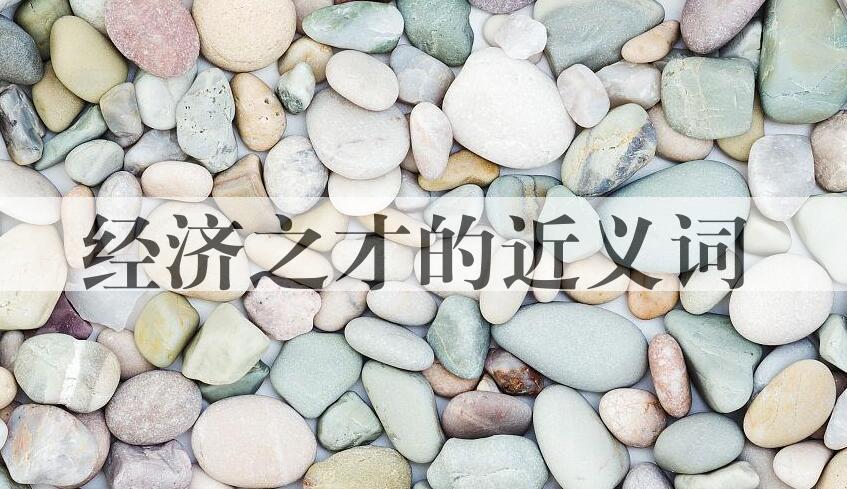 用经济之才造句