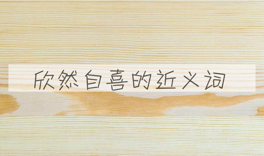用欣然自喜造句