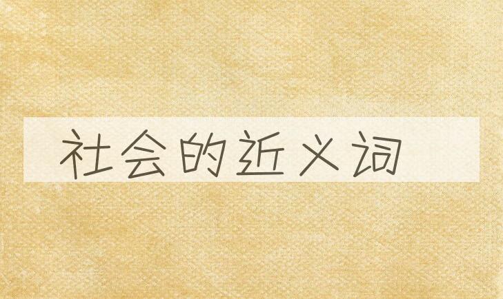 用社会造句