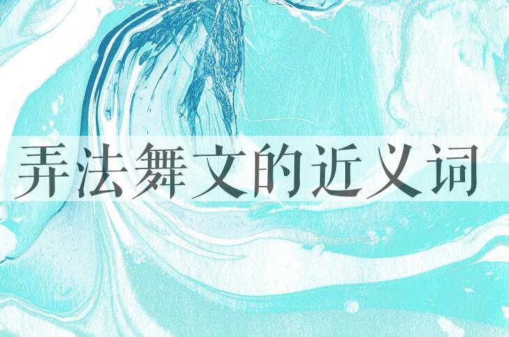 用弄法舞文造句