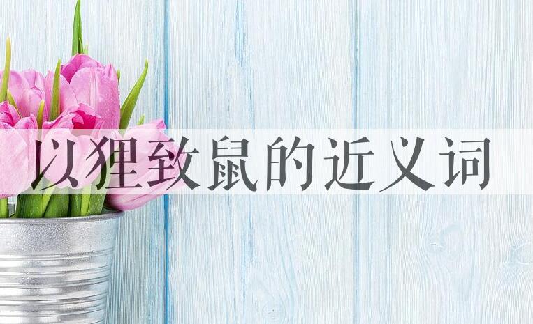 用以狸致鼠造句