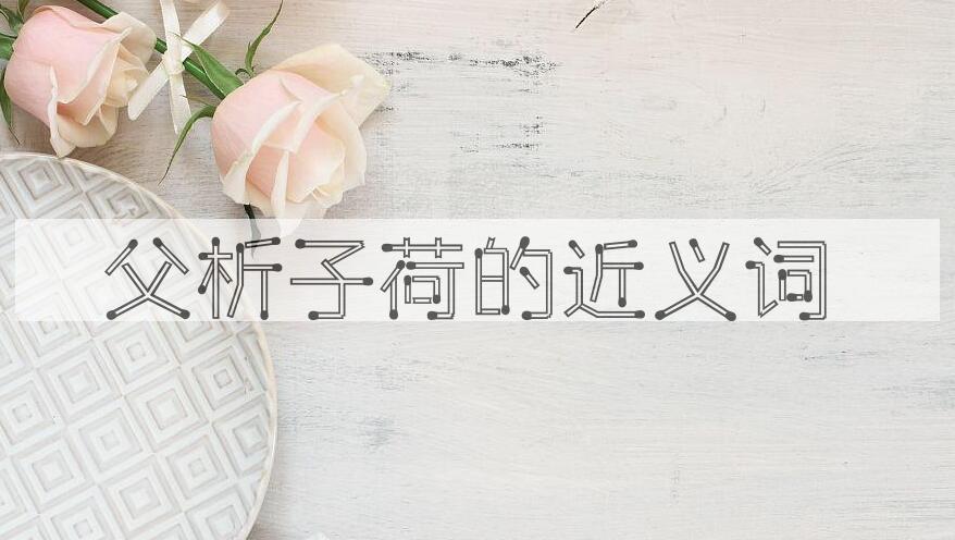 用父析子荷造句