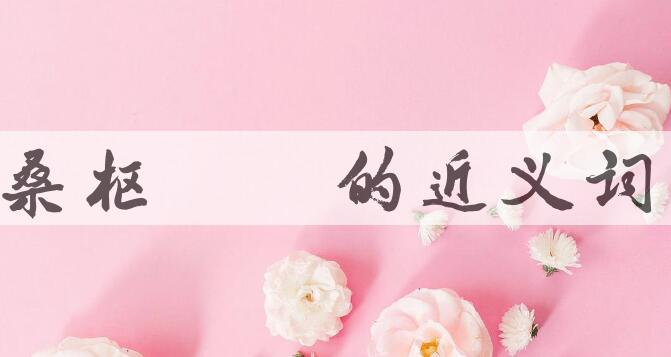 用桑枢甕牖造句