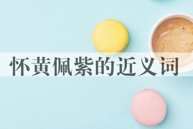 用怀黄佩紫造句