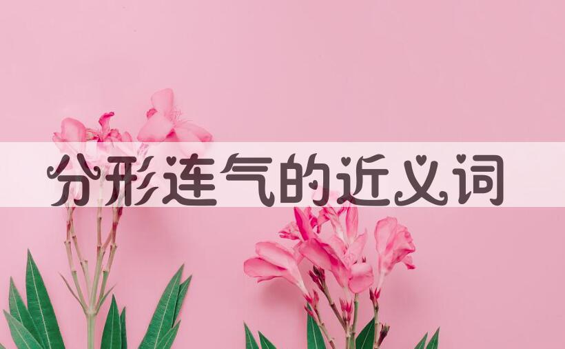用分形连气造句