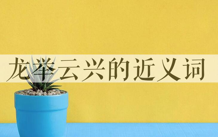 用龙举云兴造句