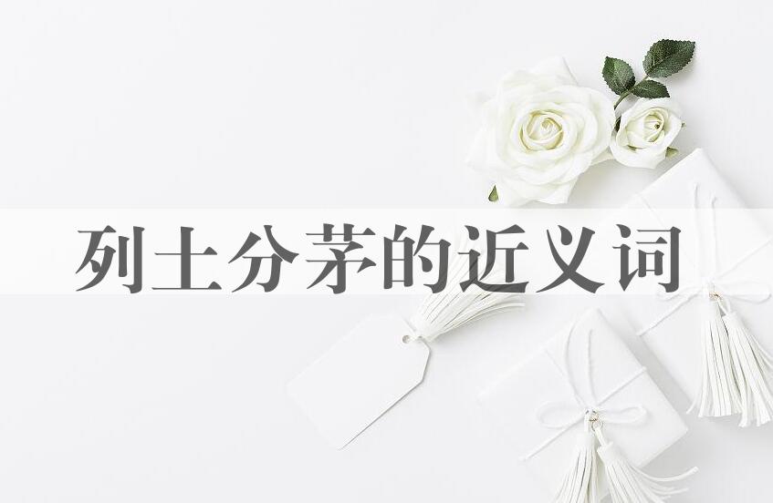 用列土分茅造句