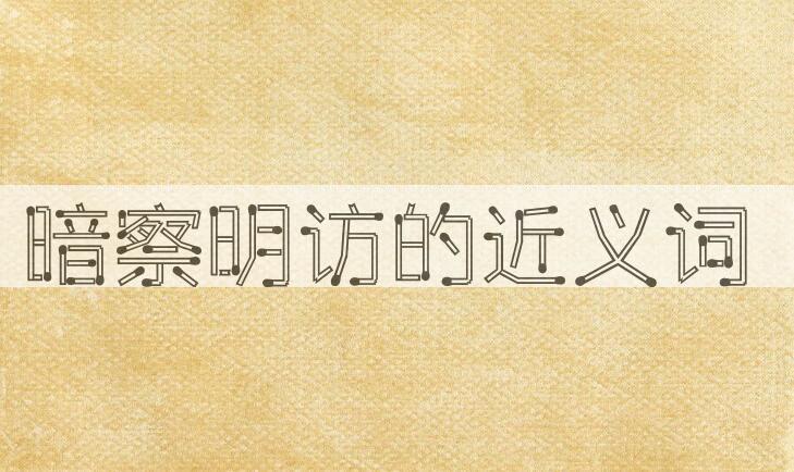 用暗察明访造句