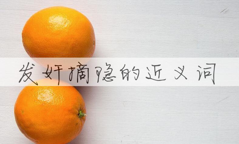 用发奸摘隐造句