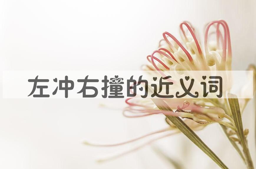 用左冲右撞造句