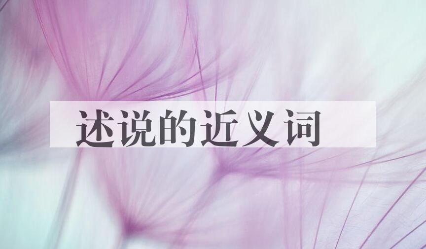 用述说造句