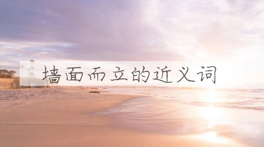 用墙面而立造句