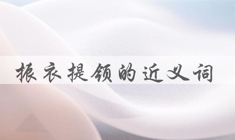 用振衣提领造句