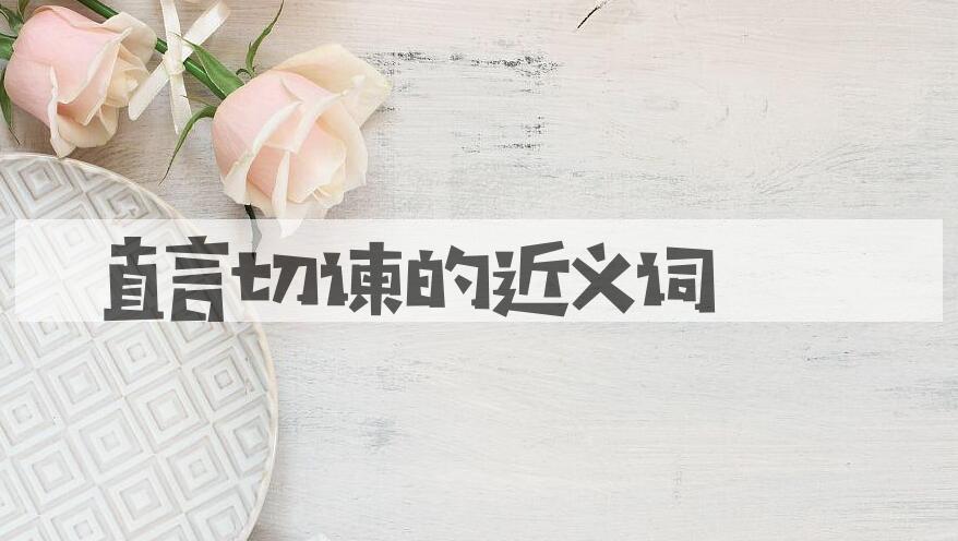 用直言切谏造句