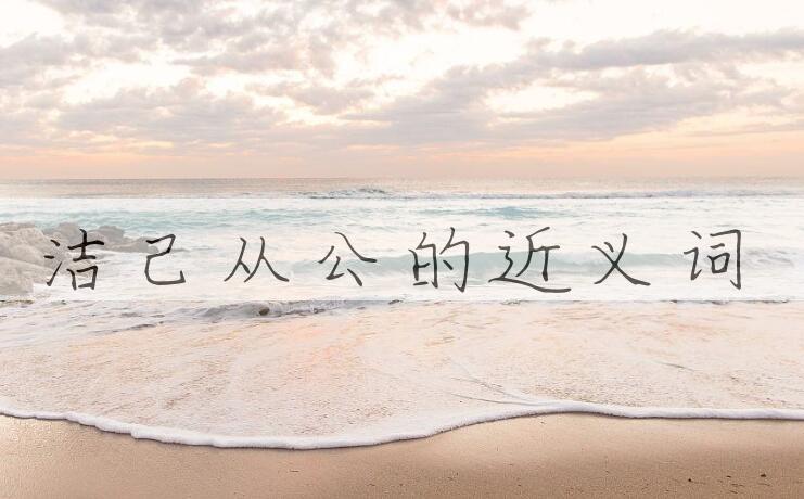 用洁己从公造句