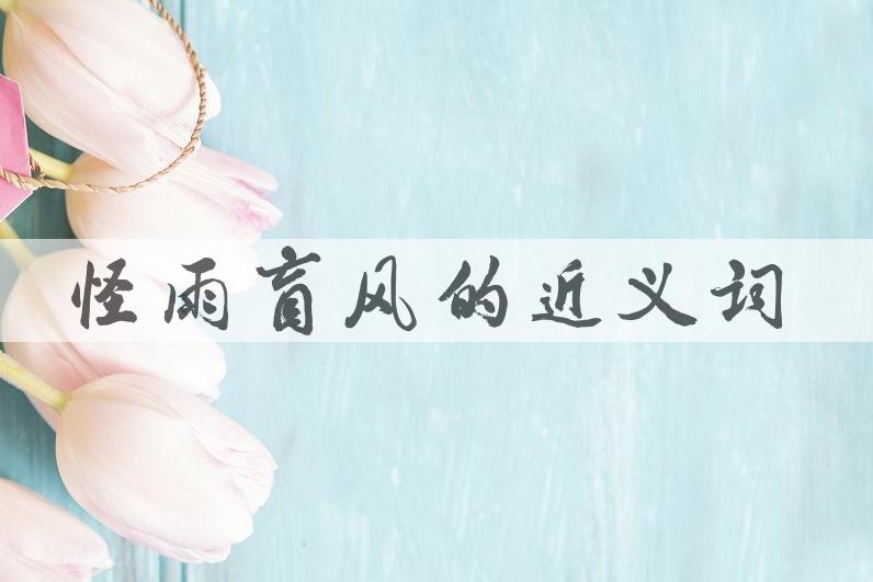 用怪雨盲风造句