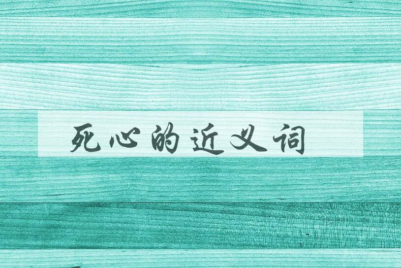 用死心造句