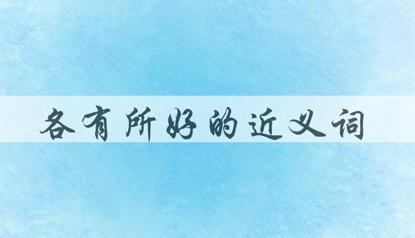 用各有所好造句