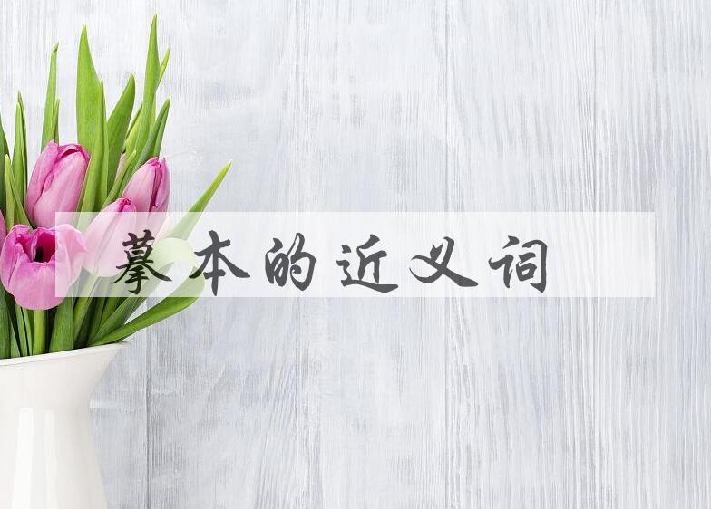 用摹本造句