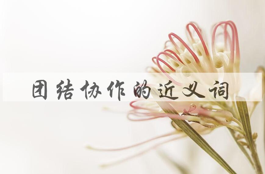 用团结协作造句