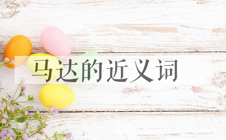 用马达造句