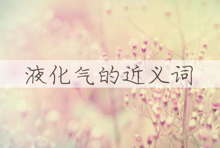 用液化气造句