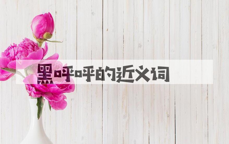 用黑呼呼造句
