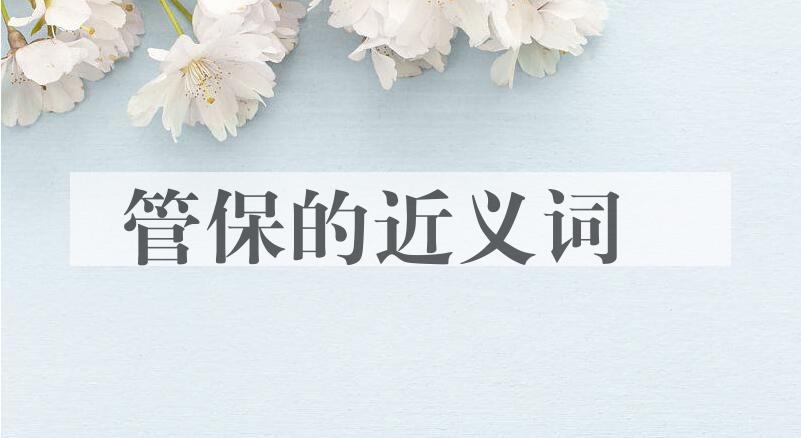 用管保造句