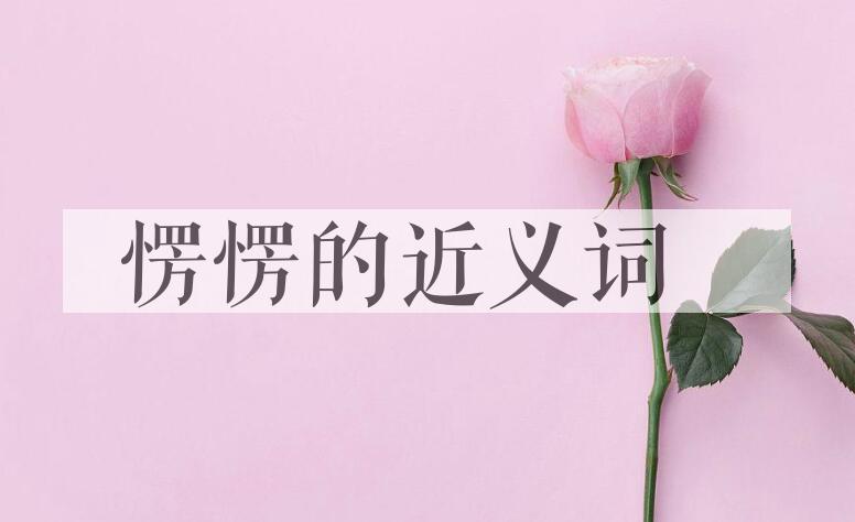 用愣愣造句