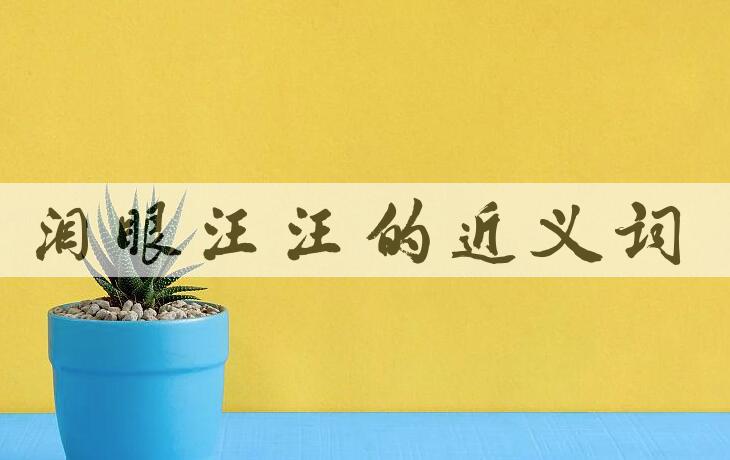 用泪眼汪汪造句