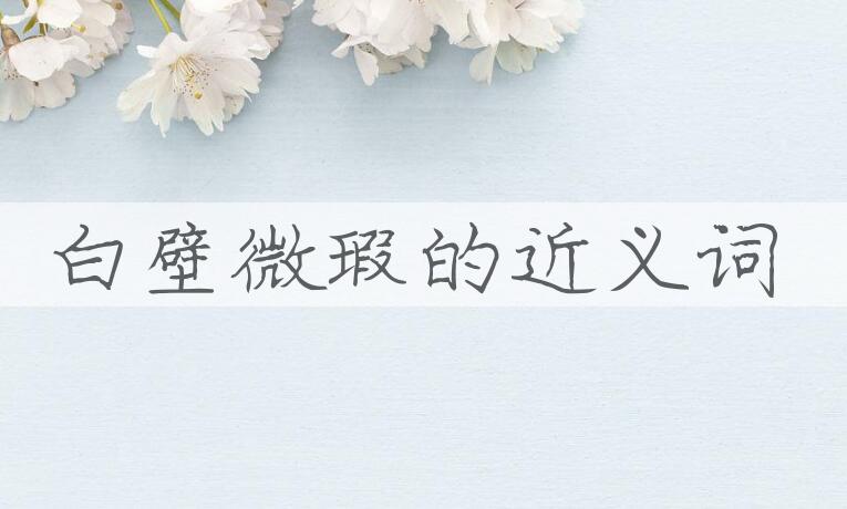 用白壁微瑕造句