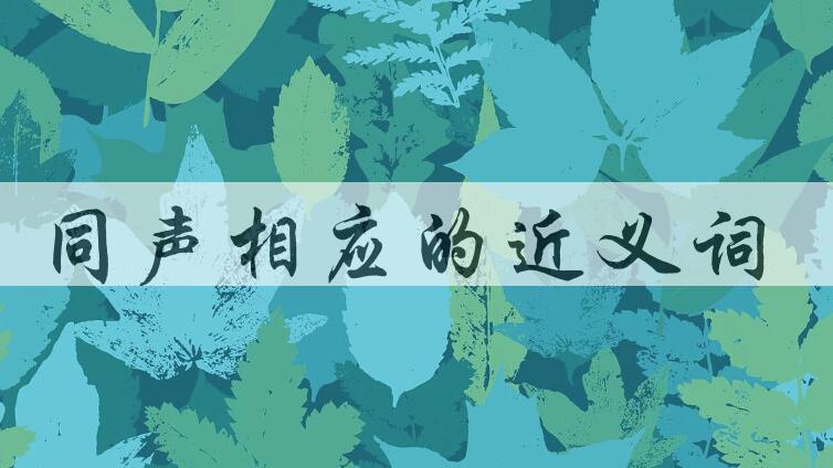 用同声相应造句