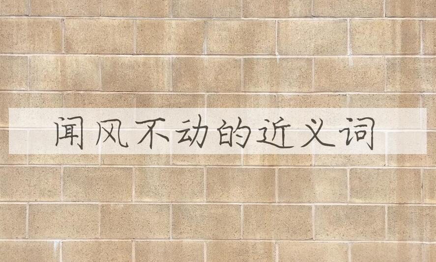 用闻风不动造句