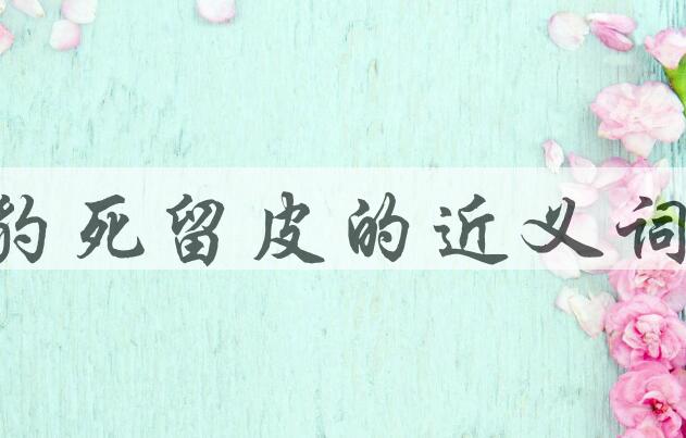 用豹死留皮造句