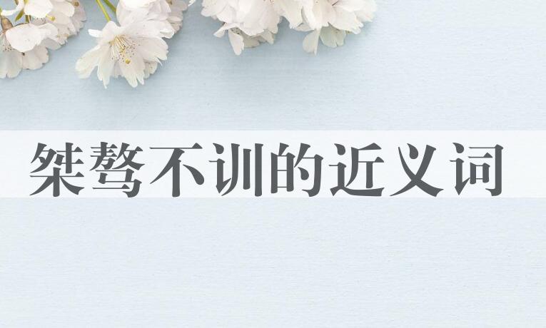 用桀骜不训造句
